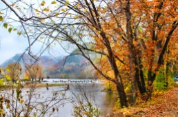 Fall in Northeast Iowa-Mississippi River backwaters JM